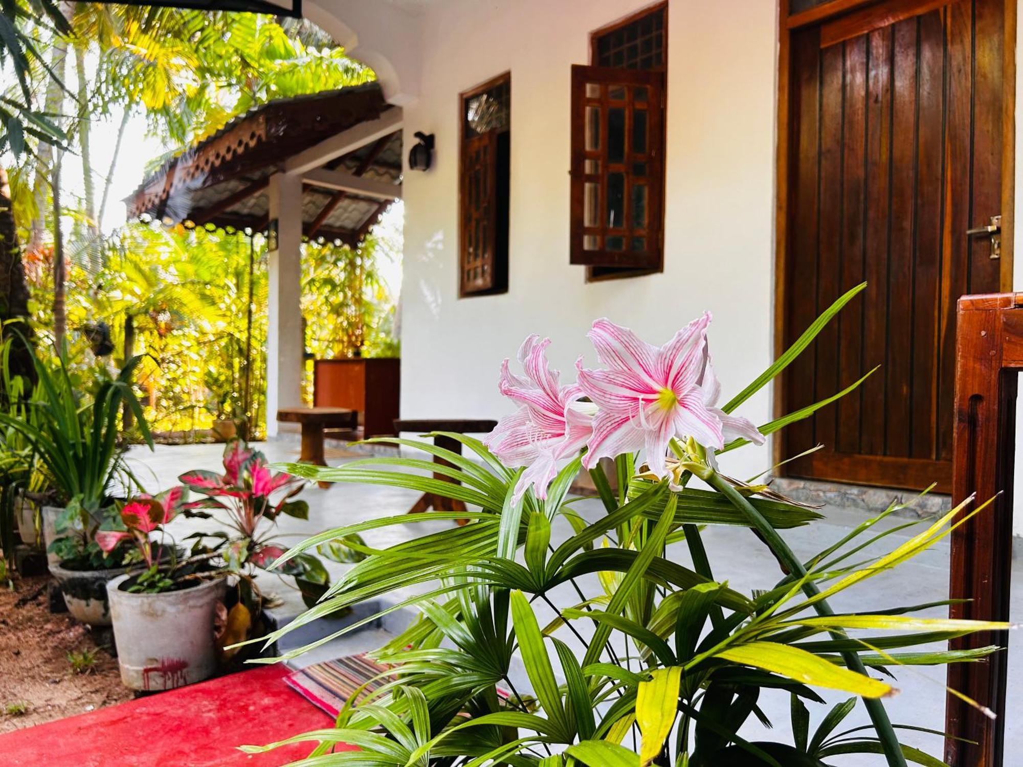 Pearl Bungalow ตรินโคมาลี ภายนอก รูปภาพ