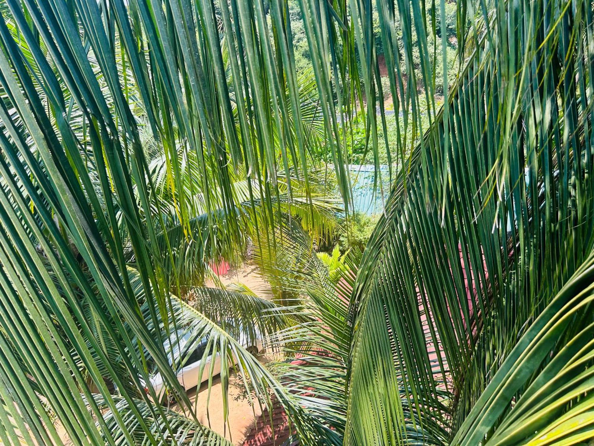 Pearl Bungalow ตรินโคมาลี ภายนอก รูปภาพ